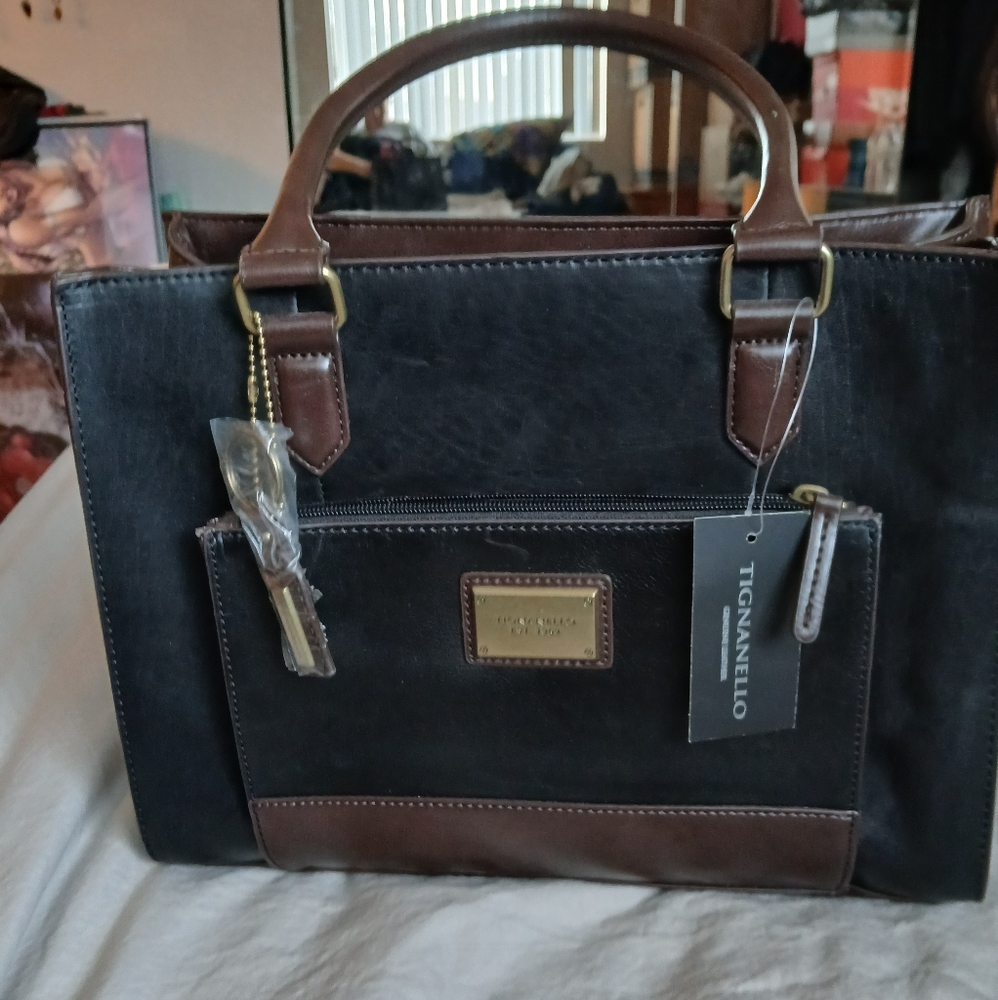Tignanello Black and Brown Women's Bag